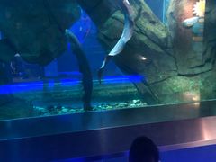 -石家庄海洋公园