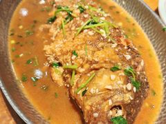 黄焖大鲤鱼-95号酱骨·一块豆腐(展春园西路店)
