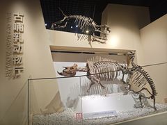 -国家自然博物馆