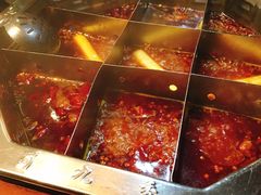 -蜀九香火锅(九眼桥店)