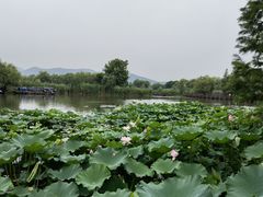 -长兴太湖图影湿地文化园