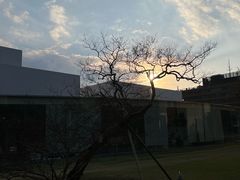 -金泽21世纪美术馆