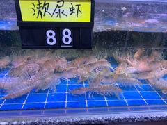 -台山美食一绝阿四台山黄鳝饭(阿四创作店)