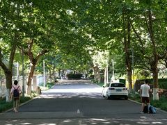 -五台山南京工业大学游泳馆(江浦馆)