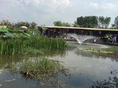 -同銮特种养殖场·龙虾垂钓