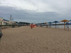-秦皇岛乐岛海洋王国