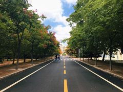 -山东大学(威海校区)