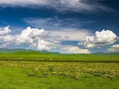 -塞罕坝国家级自然保护区