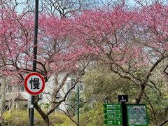 -杭州植物园