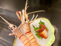 -虾佬圣汤