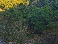 -广州白江湖森林公园