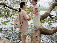 -东湖落雁景区