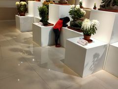 -汇龙潭