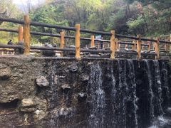 -王顺山国家森林公园