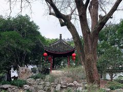 -上海醉白池公园