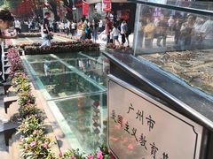 -北京路步行街-千年古道遗址