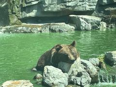 -北京野生动物园