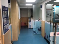 -宠颐生猫科·内科皮肤科(西平世纪城店)