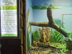 -辛玛王国游乐园