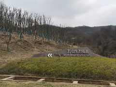 -南京市江宁方山
