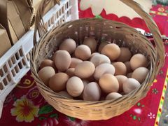 -马陆小张葡萄园农家乐