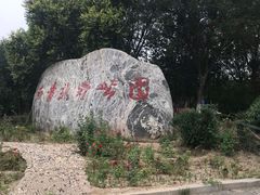 -西青郊野公园
