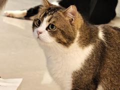 -平行世界·猫咖(首经贸店)