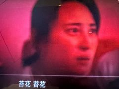 -太平洋影城(王府井店)