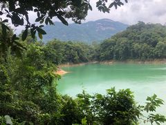 -广州市流溪河国家森林公园