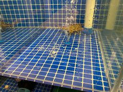 -面道赞宁海海鲜面(迎凤街店)