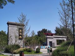 -莲花池公园