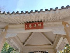 -南京古林公园