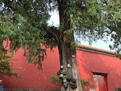 -北京市劳动人民文化宫(太庙)