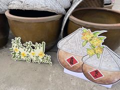 -苏州市吴中区光福窑上花果蜜饯厂