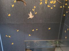 -百富源·海鲜辽菜(和平北大街店)