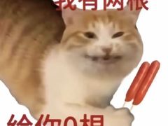 -耙豌豆重庆小面