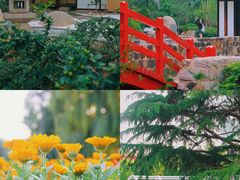 -桃花堤公园
