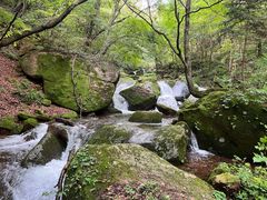 -五女峰国家森林公园