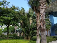景观位-斑斓西餐厅·自助茶点(高崎机场佰翔花园酒店)
