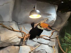 -Zoolung Zoolung动物主题公园(海信广场店)