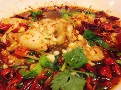 沸腾鱼-宽窄巷子(米兰中央火车站店)