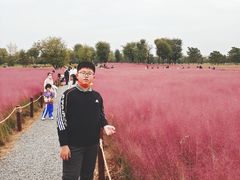 -汉长安城未央宫国家考古遗址公园