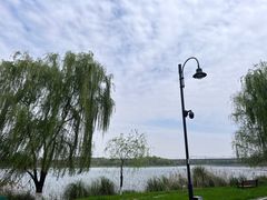 -东湖落雁景区