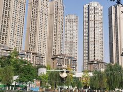 -成都市活水公园