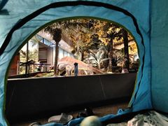 -湖南省地质博物馆