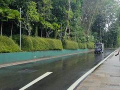 -圣淘沙天际线斜坡滑车