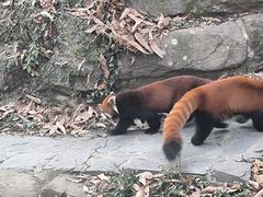 -杭州动物园