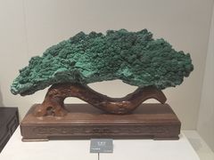 -安徽省地质博物馆