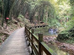 -凤栖山