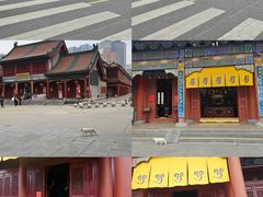-西安大兴善寺